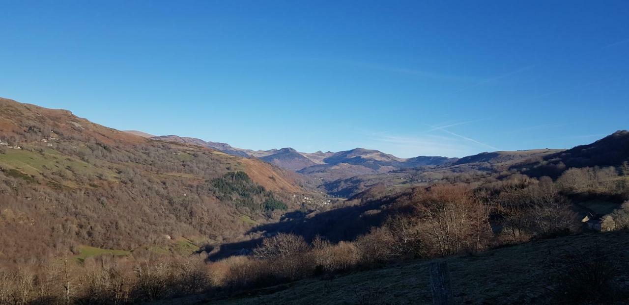 Maison du pays de Salers dans le parc des volcans d'Auvergne Saint-Projet-de-Salers Extérieur photo